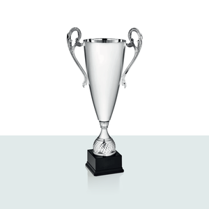 Trofeo Rachele Argento 75,0 cm - Product Image 1