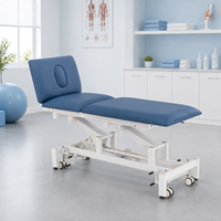 Table de thérapie clinique pour lit médical, avec cache-visage amovible, revêtement durable et base à roulettes mobiles
