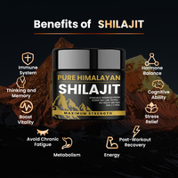 Capsules de Shilajit de l'Himalaya : Soutien Énergétique et d'Endurance, Complexe Minéral Naturel pour la Vitalité Quotidienne