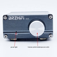 BRZHIFI-AMPLIFICADOR DE AUDIO B3 TPA3116, Mini Mono Digital, Subwoofer de alta potencia, 100W, sonido estéreo, HiFi, frecuencia completa