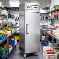 Réfrigérateur commercial en acier inoxydable, équipement de réfrigération de cuisine vertical, congélateur convertible basse température