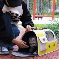 Sac de transport pliable pour animaux de compagnie, grande capacité, respirant, portable, à bandoulière, avec fermeture éclair, pour chats et chiens, idéal pour les voyages en extérieur