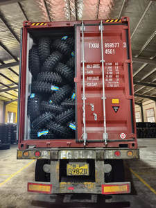 Neumáticos Radiales Tubeless para <span class=keywords><strong>ATV</strong></span> UTV de Diseño Profesional 25X10-<span class=keywords><strong>12</strong></span> 6PR con Llantas de Aleación, Repuesto Nuevo - Product Image 6