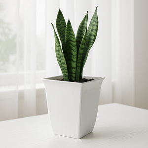 High Quality Durable PP Plastic Tall Square <b>Planter</b> <b>Boxes</b> Minimalist White Flower Pots Bulk Sales Factory Direct - Product Image 3