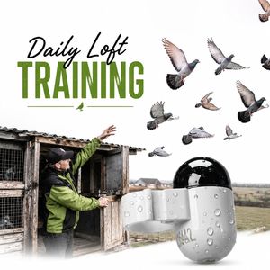 Dispositif <span class=keywords><strong>de</strong></span> suivi pour pigeons voyageurs, mini 2,2g étanche IP68, avec fonction <span class=keywords><strong>de</strong></span> lecture <span class=keywords><strong>de</strong></span> la trajectoire <span class=keywords><strong>de</strong></span> <span class=keywords><strong>vol</strong></span> pour élevages <span class=keywords><strong>de</strong></span> pigeons, achat en gros - Product Image 5