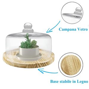 Cloche en verre transparent avec base en bois 27x22 cm, présentoir décoratif pour bonbons, objets et compositions - Product Image 3