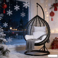 Balançoire pour bébé, chaise suspendue en acrylique transparent, hamac, ensemble de balançoire pour porche, balançoire en bois pour jardin, chaise suspendue en rotin, chaise œuf en rotin