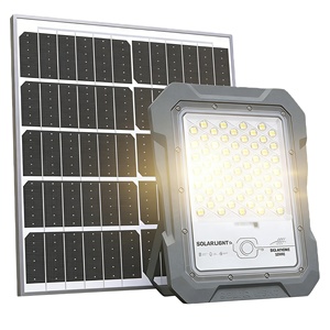 Reflector Solar LED de 60W con Control Remoto, Sensor de Movimiento, Aluminio, Batería de 6000mAh, IP65 Impermeable, Vidrio Templado, Certificación CE - Product Image 1
