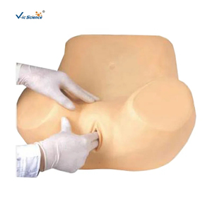 Modelo de Entrenamiento Ginecológico de PVC Avanzado <span class=keywords><strong>y</strong></span> Duradero para Educación Médica <span class=keywords><strong>y</strong></span> Enseñanza de <span class=keywords><strong>Obstetricia</strong></span> para Estudiantes de Medicina <span class=keywords><strong>y</strong></span> Profesores - Product Image 1