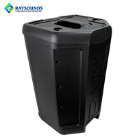 Raysounds Audio professionnel 500W Stéréo 13.0 canaux Haut-parleur actif à gamme complète en plastique Connectivité USB///Wi-Fi
