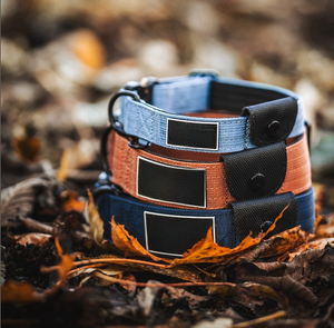 <span class=keywords><strong>Collar</strong></span> táctico para perro mascota de baja MOQ resistente con soporte Airtag almohadilla de neopreno suave hebilla de Metal <span class=keywords><strong>GPS</strong></span> <span class=keywords><strong>Collar</strong></span> táctico para perro - Product Image 4