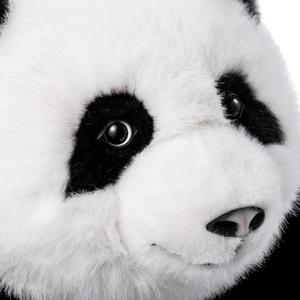 Các thực tế ai con chó Đồ chơi <span class=keywords><strong>robot</strong></span> cho trẻ em Đồ chơi giá rẻ giá thấp không dây kết nối ứng dụng tùy chỉnh 60 ngôn ngữ bằng giọng nói ai đồ chơi - Product Image 5