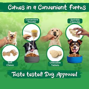 Suplementos Herbales <span class=keywords><strong>para</strong></span> Articulaciones y Huesos de <span class=keywords><strong>Mascotas</strong></span> Directo de Fábrica, OEM Personalizado, Venta al por Mayor, Pedidos al por Mayor en Contenedores Completos Listos <span class=keywords><strong>para</strong></span> Envío - Product Image 4