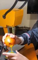 Verse Fruitsapmachine/Sinaasappelsapmachine Populair In Korea En Amerika