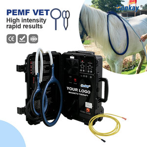 Appareil de thérapie magnétique PEMF portable à double commande pour humains et chevaux, soulage les douleurs musculaires et les inconforts articulaires, certifié CE - Product Image 1