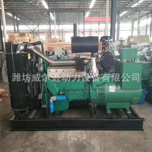 เครื่องกำเนิดไฟฟ้าดีเซลเว่ยฟาง 200 กิโลวัตต์ เครื่องยนต์สเตเยอร์ ทองแดงไร้แปรงถ่าน 400 โวลต์ 50 เฮิรตซ์ 1500 รอบต่อนาที ควบคุมระยะไกล - Product Image 3