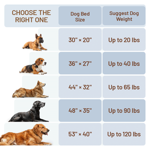 Ortopedik destek köpek yatağı bellek köpük ile su geçirmez geri dönüşümlü lüks kadife Pet yatak büyük orta köpekler için - Product Image 6
