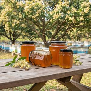 Wholesale Natural Raw Longan <strong>Honey</strong> Dark Amber Bulk Bottle Protein-Rich Manna Vitamin <strong>Kosher</strong> Certified Health Fitness Sweet <strong>Honey</strong> - Product Image 1