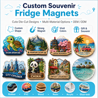 Magneti da frigo personalizzati fustellati, artigianato in resina, materiale personalizzabile, aspetto di lusso per decorazioni da cucina, souvenir, regalo, ricordo di viaggio