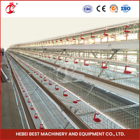 Un cadre automatique ferme avicole éleveur Cage et équipement couche poulette oiseau petit poulet Cage à vendre au Nigeria Tanzanie ferme