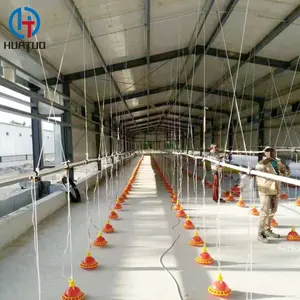 chicken nesting system Broiler laying egg chicken nest steel structure poultry farm house