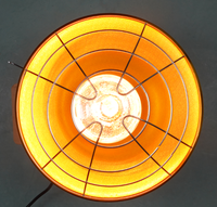 Lampe vétérinaire pour élevage avicole à prix équitable, lampe chauffante dédiée à la préservation de la chaleur, poulailler, lampe chauffante pour couveuse
