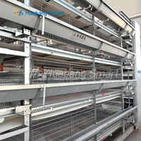 Équipement d'élevage de volaille à grande échelle entièrement automatisé et à plusieurs niveaux Système de cages d'alimentation pour volailles à piles
