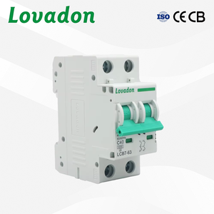 Miniatur-Leitungsschutzschalter LCB7 63H 2-polig AC MCB 415V 6KA Abschaltvermögen B C-Kurve für die Industrie - Product Image 1
