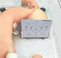 Modèle d'entraînement à la gastroscopie, simulateur fantôme d'endoscope gastroduodénal souple pour la pratique, modèle anatomique scientifique médical