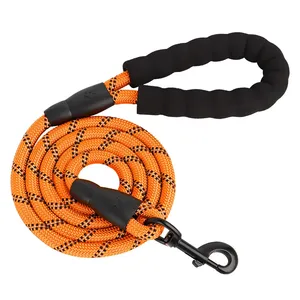 Personalized Custom Best Heavy Duty Nylon Polyester No Pull Climbing Rope Lead Dog Training Leash With Carabiner Hook
