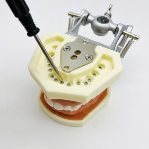 Mô hình thực hành nha khoa với 28 răng, nướu Silicone mềm, răng miệng có thể tháo rời cho sinh viên nha khoa - Product Image 3