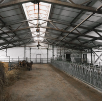 Poulailler préfabriqué moderne avec murs isolés et ventilation du toit, idéal pour l'élevage avicole commercial