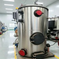 Generator Uap Industri Pembakaran Pelet Biomassa Serpihan Kayu Otomatis Vertikal Cina 500kg/2000kg Efisiensi Tinggi