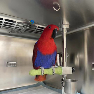 EUR VET paslanmaz çelik Pet yetiştiriciliği kuş papağan güvercin kafes sürüngen kafes veteriner kliniği - Product Image 5