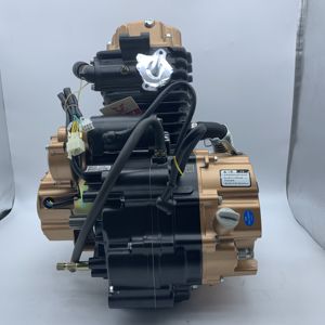 Zongshen-arrancador de motor de gasolina para motocicleta, dispositivo de arranque de 250cc para <span class=keywords><strong>moto</strong></span> de carreras, dirt bike, <span class=keywords><strong>tribike</strong></span> para Honda Yamaha - Product Image 4