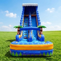 Toboggan aquatique gonflable écologique à double piste sur le thème des palmiers tropicaux, piscine et château gonflable pour enfants, pour 20 à 50 personnes, idéal pour l'été en extérieur