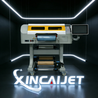 Tête d'impression DX7, nouvelle technologie de pointe, imprimante d'étiquettes A3 de 30 cm, tête unique, encre UV, entièrement automatique, garantie 1 an, matériau en acier