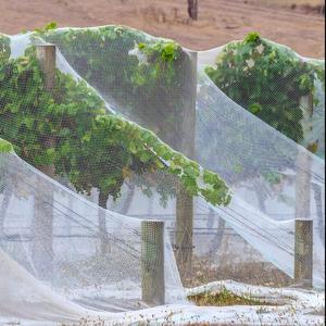 Filet anti-insectes Huike pour petit jardin, serre agricole, barrière anti-insectes - Product Image 6