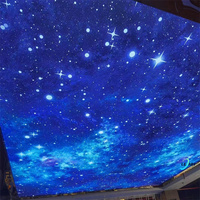 Kit de plafond en toile Lum Ineuse à fibre optique LED Ciel nocturne avec étoiles scintillantes Panneau de plafond extensible en PVC