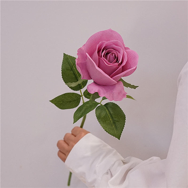 Sensation hydratante gris rose-violet britannique