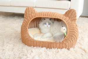 Cama para gatos tejida a mano Multicolor, nido alto para mascotas, cama Universal de ratán lavable para las cuatro estaciones, gatos, perros, mimbre de animales sólidos - Product Image 4