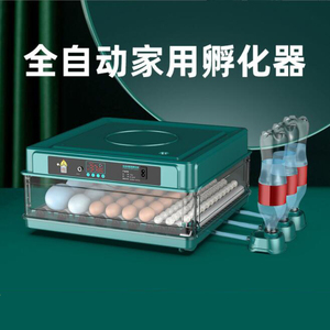 Incubateur intelligent entièrement automatique, incubateur domestique, couveuse de pigeons, perroquets, éclosion, fabricant <span class=keywords><strong>d</strong></span>'œufs - Product Image 2