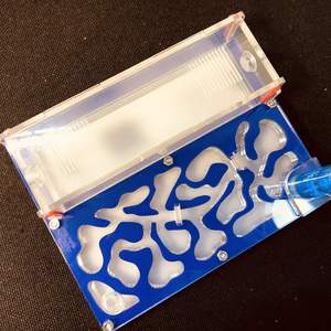 Nido de <span class=keywords><strong>colonia</strong></span> de hormigas acrílico de color plástico de vidrio cuadrado al por mayor para hormigas vivas - Product Image 6