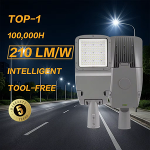 Lampadaire LED intelligent à commande sans outil, classe I/II, AC85-480V, SPD en option, IP66/67, pour routes et ponts - Product Image 1