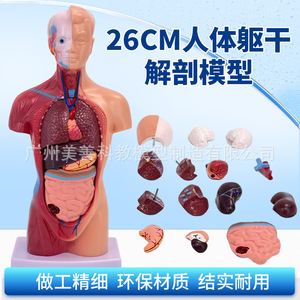 28CM - Product Image 4