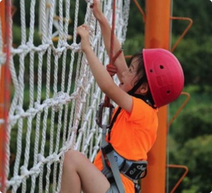 Lưới Leo Núi Để Xây Dựng Lưới Hàng Hóa Để Leo Tường Lưới Lỗ Tròn Bảo Vệ Khung Leo Núi - Product Image 5