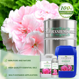 Huile essentielle de géranium Bio 100% Pure Nature Huile de parfum de géranium Diffuseur d'huiles de massage pour le corps Soins de la peau - Product Image 4