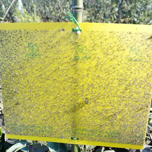 Logo personnalisé intérieur/extérieur thé ferme serre attrape les mouches jaune collant tiques piège 20*15/20/25cm à semi-conducteurs antiparasitaire - Product Image 1