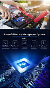 แบตเตอรี่มอเตอร์ไซค์12V 12.8V ชาร์จได้2.5ah 4Ah 8ah 6ah โรงงานน้ำหนักเบาใช้งานได้ยาวนาน - Product Image 6