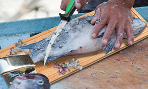 Ensemble planche à découper pour filets de poisson en bambou antidérapante avec pince, règle de mesure, aiguiseur de couteau et gants – Cadeau idéal pour pêcheur - Product Image 5